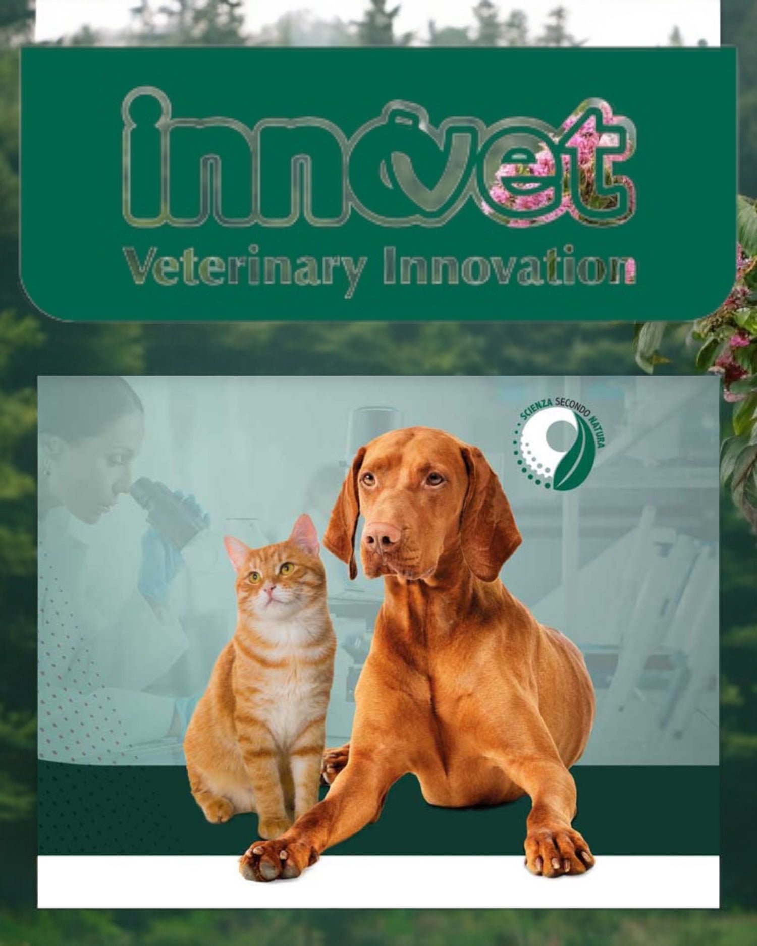 Innovet