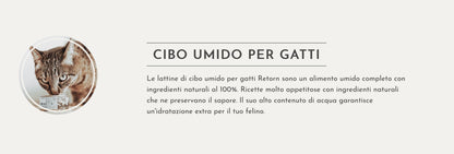 Retorn Gatto Sfilaccetto in Lattina