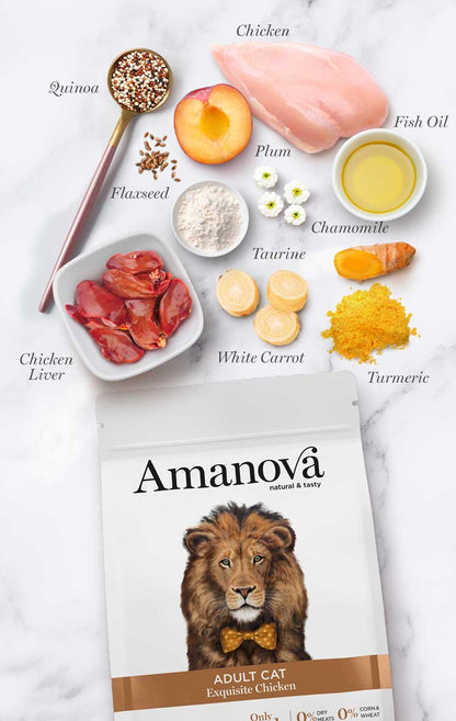 Amanova Gatto Adult Pollo Sterlised Exquisite