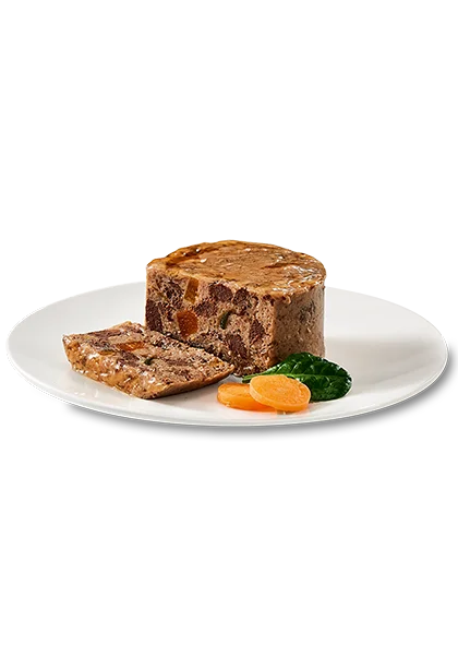 Oasy Caprice Terrine Gatto Lattina