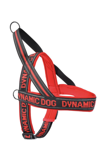 Dynamic Pettorina Gentile in Neoprene