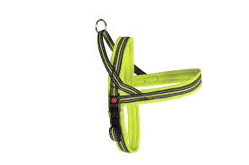 Dynamic Plus Pettorina Gentile in Neoprene