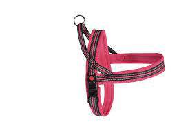 Dynamic Plus Pettorina Gentile in Neoprene