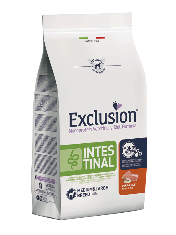 Exclusion Intestinal Maiale Medium Large