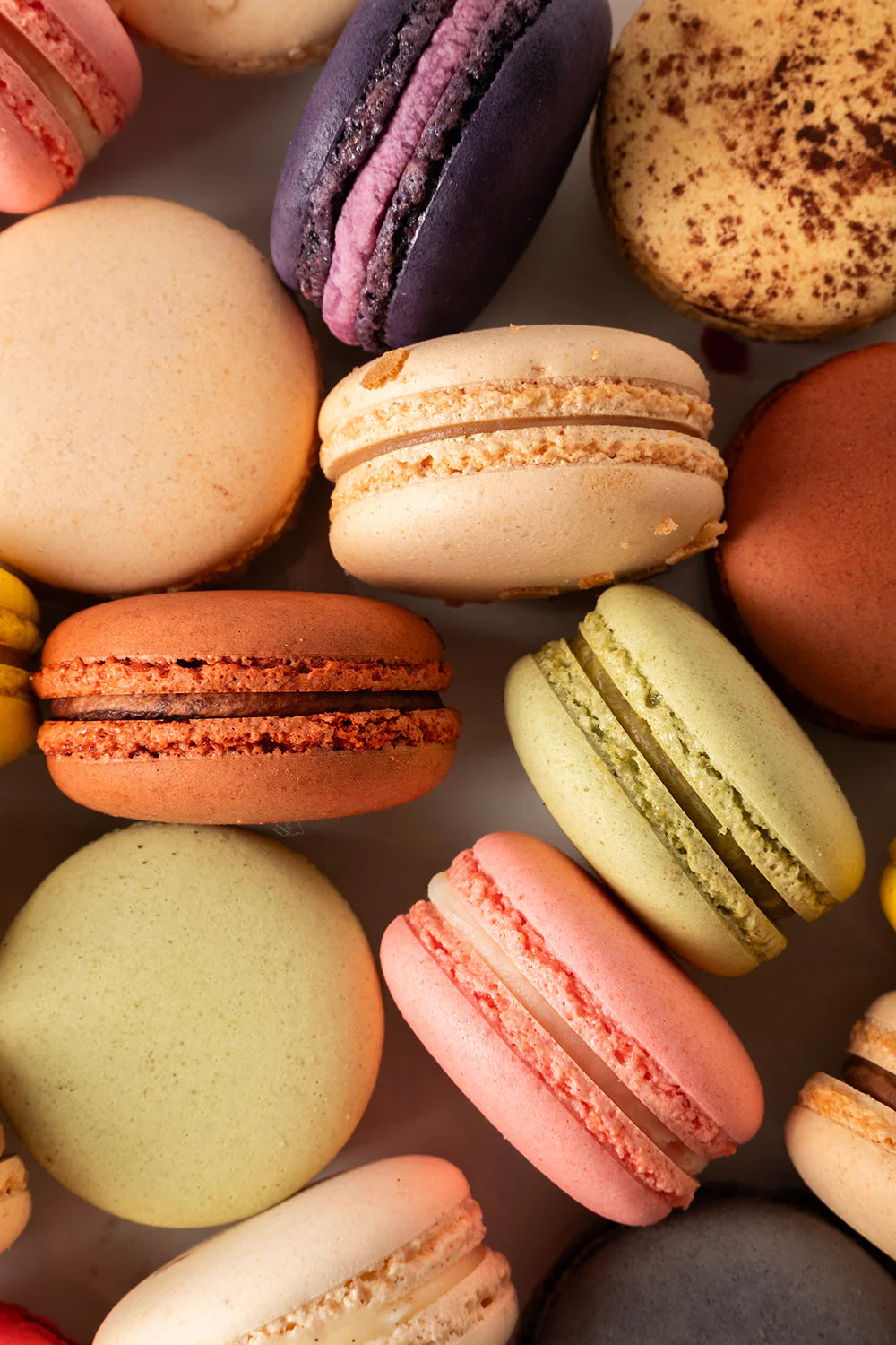 Baus Bakery Macarons