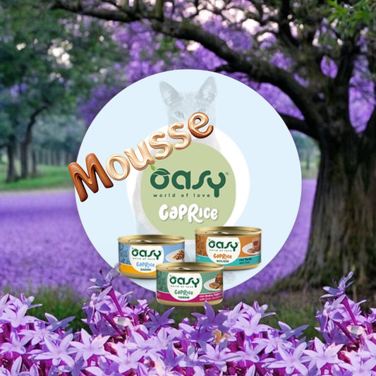 Oasy Caprice Mousse Gatto Lattina