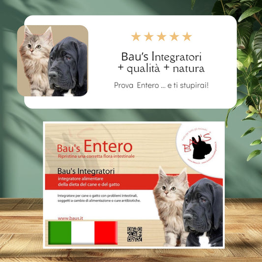 Baus Integratore Entero cane e gatto