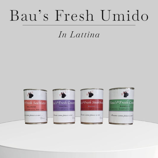 Baus Fresh Umido Cane in Lattina